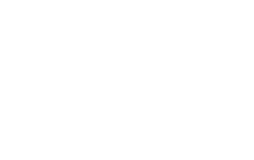 gesdep gesdep